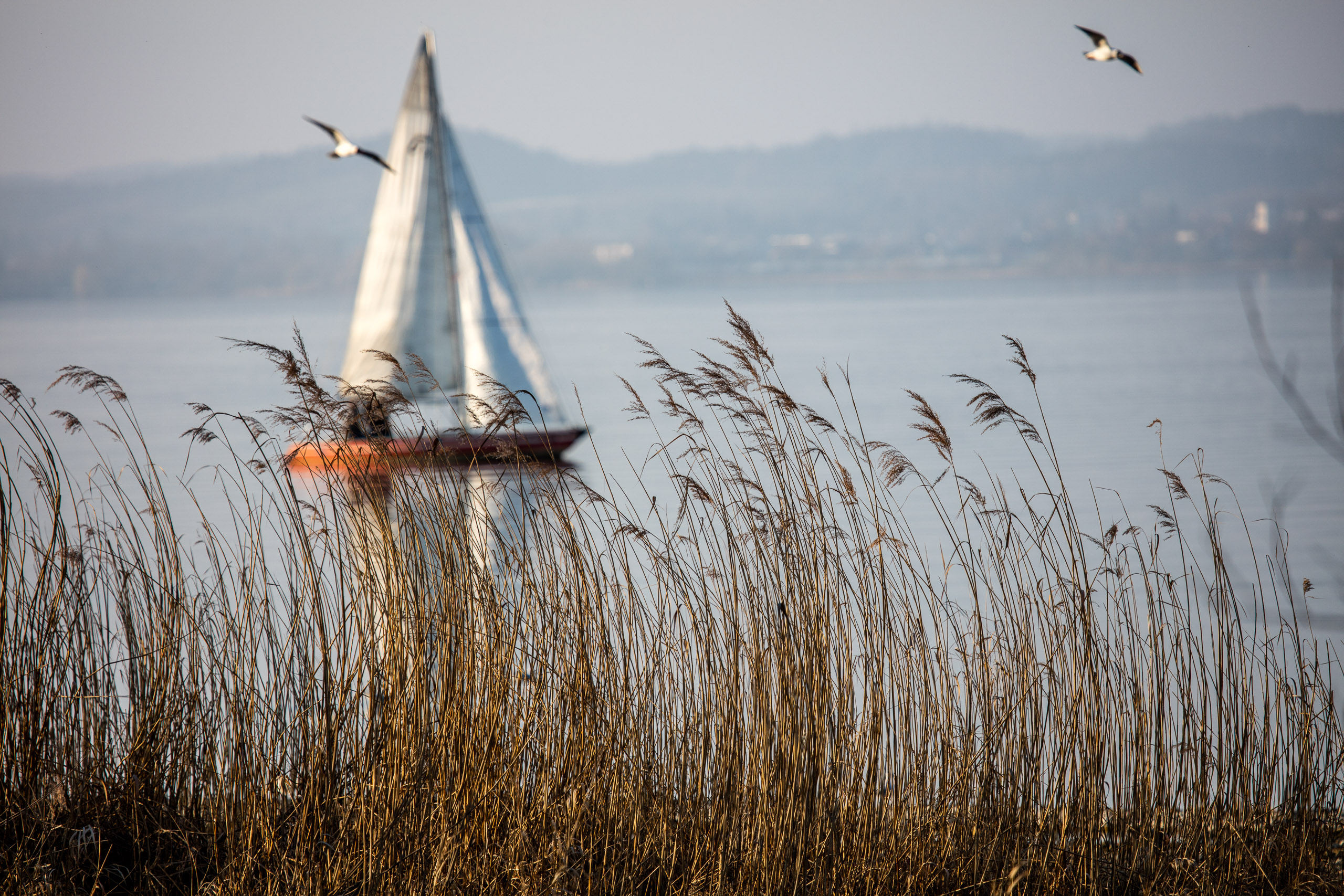 20160319172927 DP017781